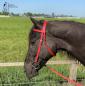 Preview: Bitless Crossover Bridle