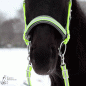 Preview: Reflektierendes Quick-Bridle