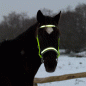 Preview: Reflektierendes Quick-Bridle