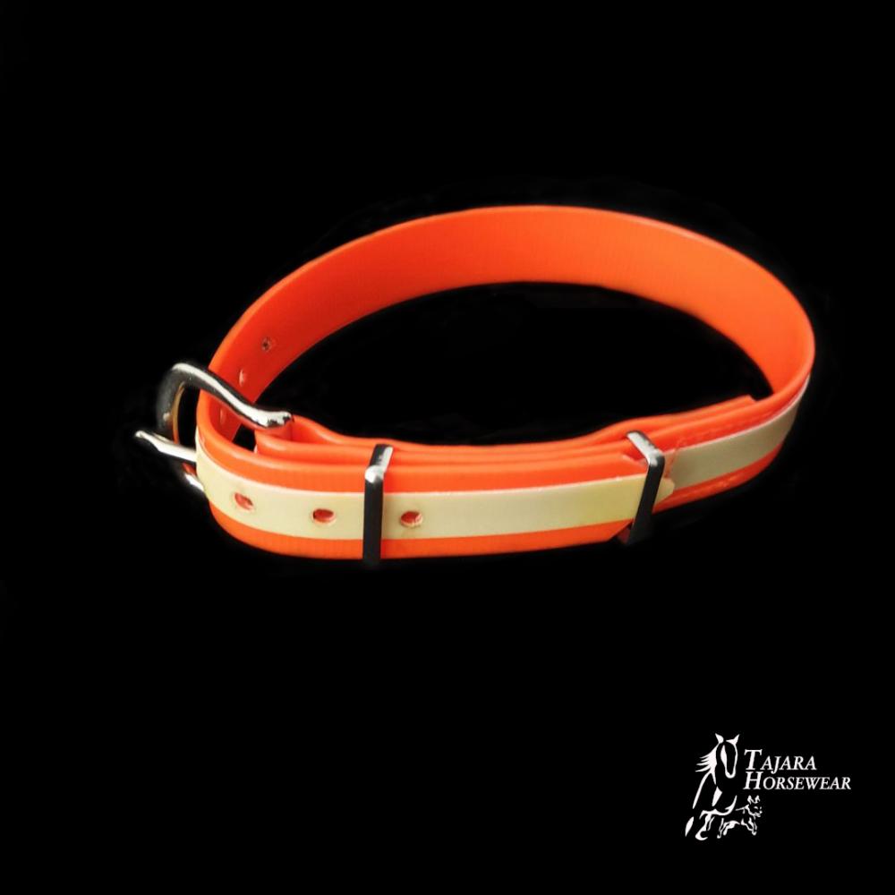 Hunde Halsband 40-50cm, orange, XL (AH-23)