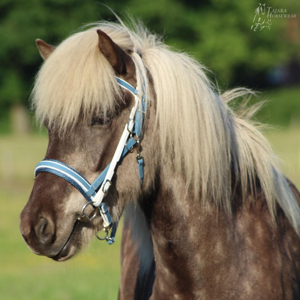 Quick Bridle Eleganz