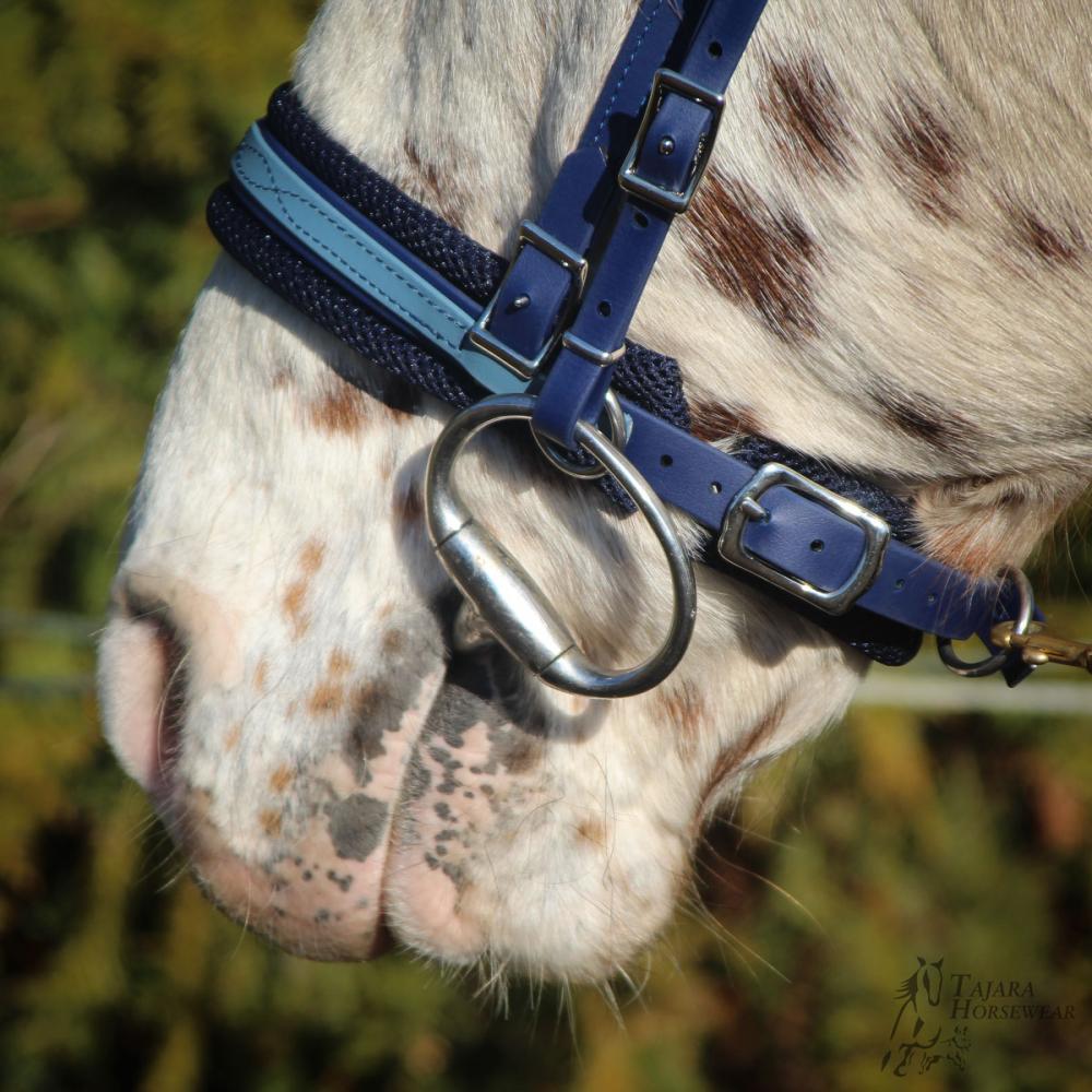 Bitless Bridle