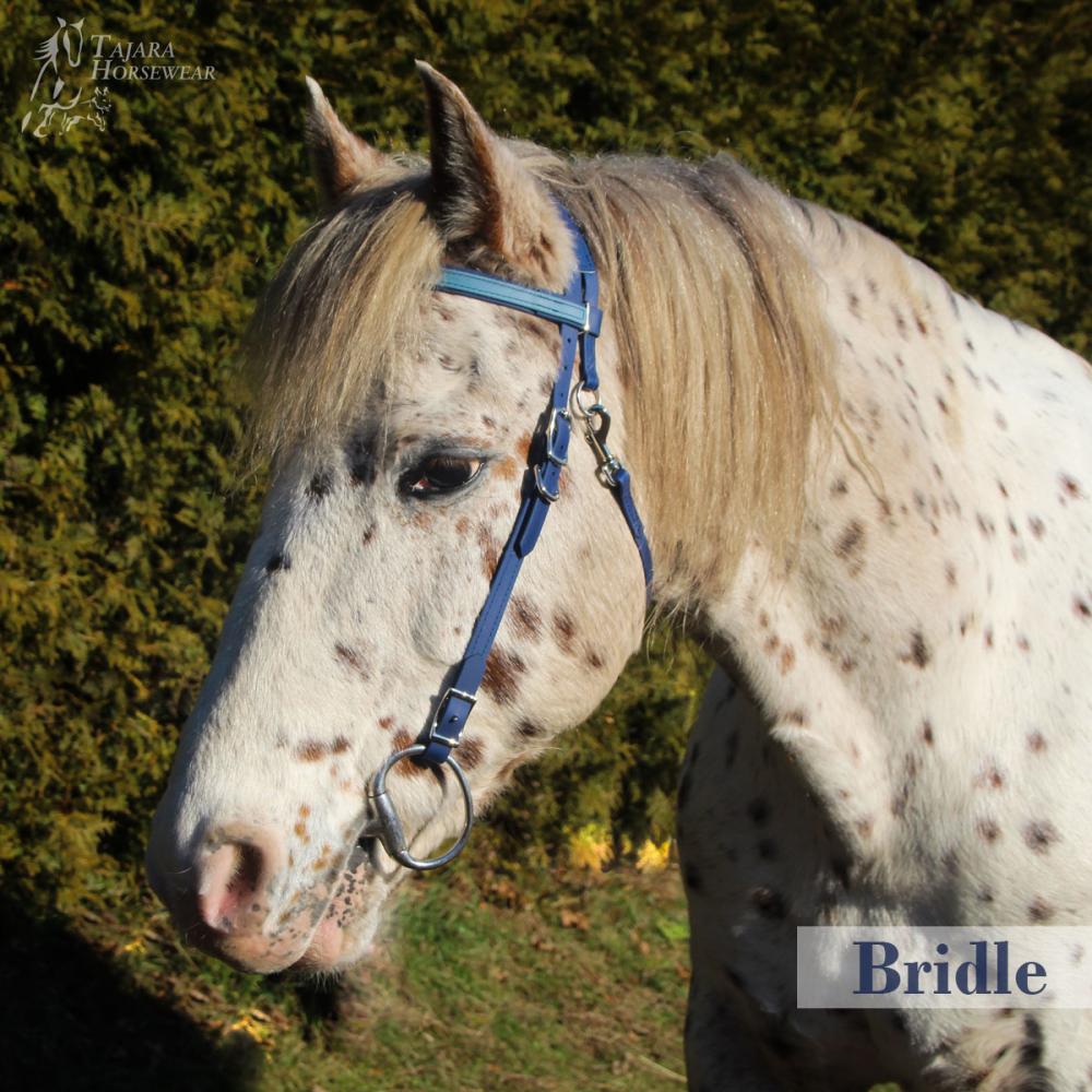 Bitless Bridle