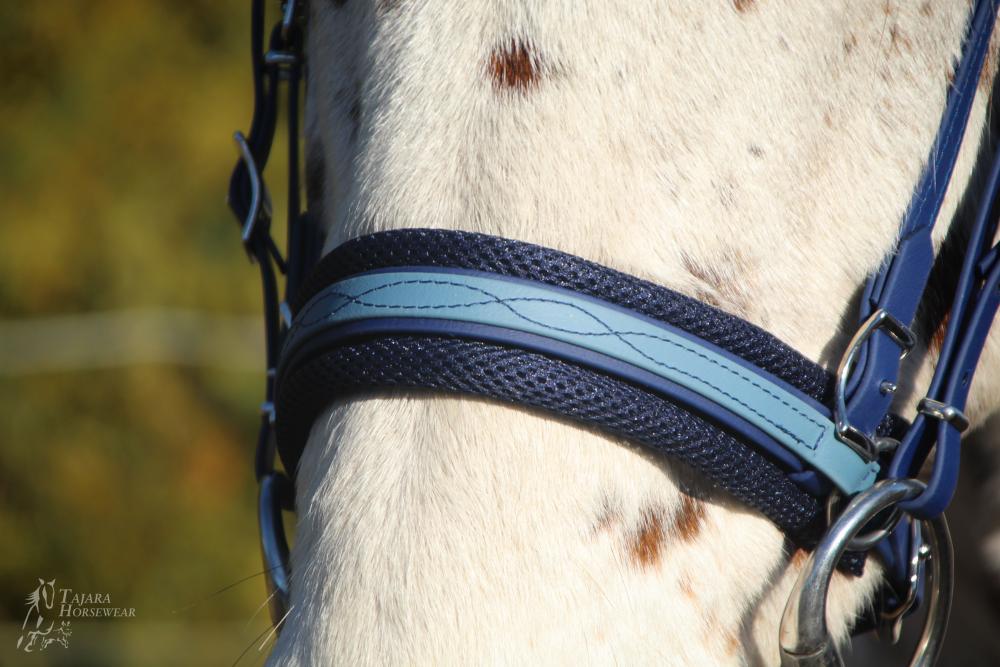 Bitless Bridle