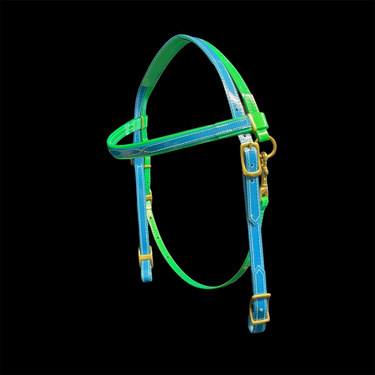 Bridle aus Biothane (AT017)