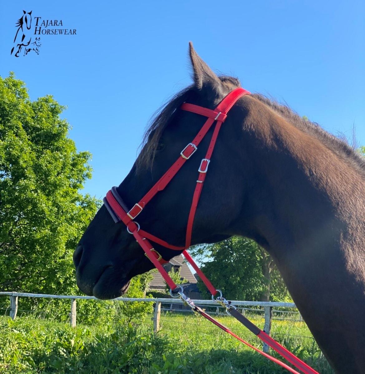 Bitless Crossover Bridle