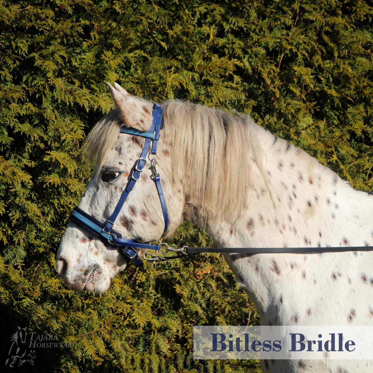 Bitless Bridle