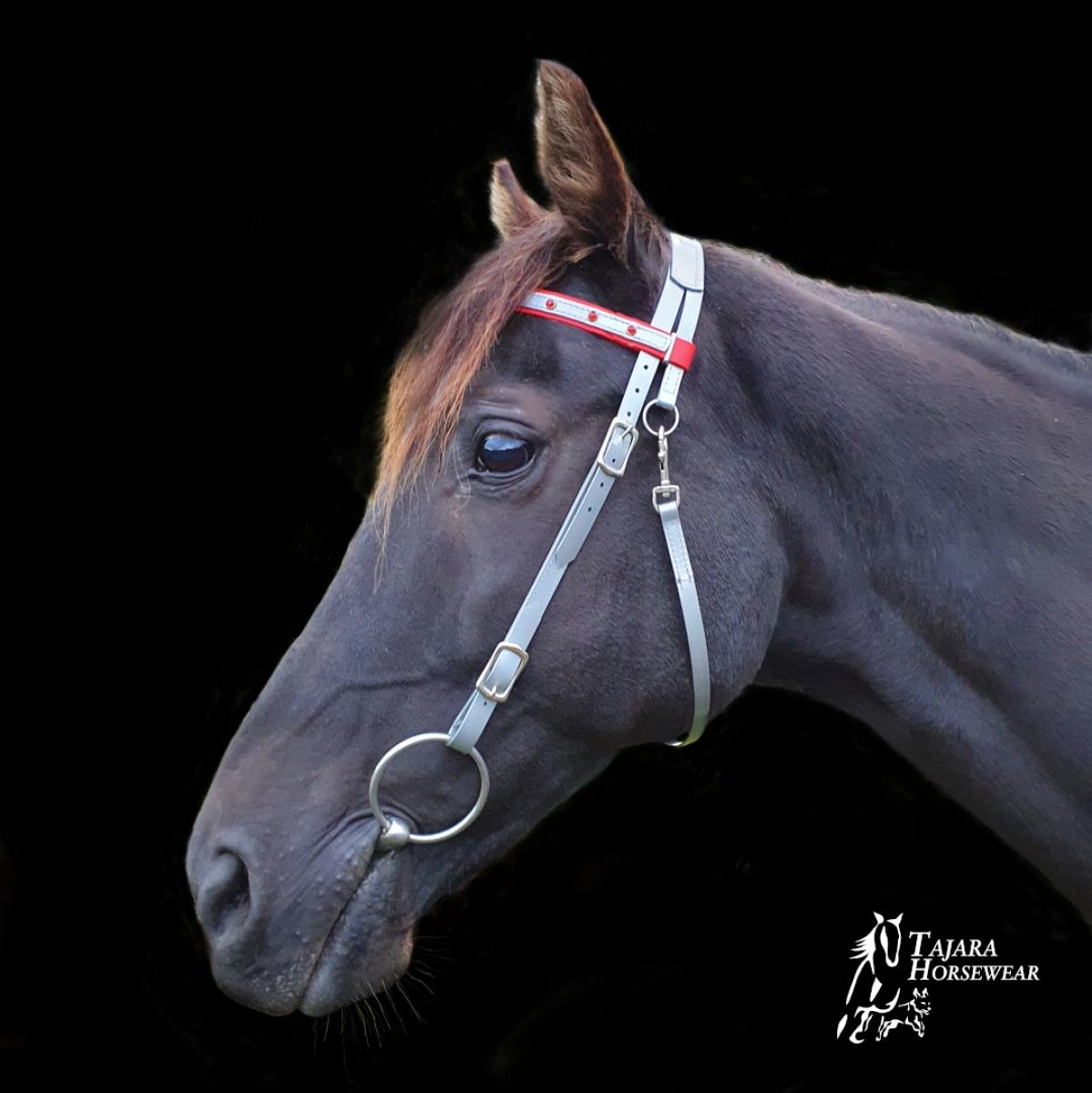 Bridle, Vollblut, mit Strass Stirnriemen(AT20-13)