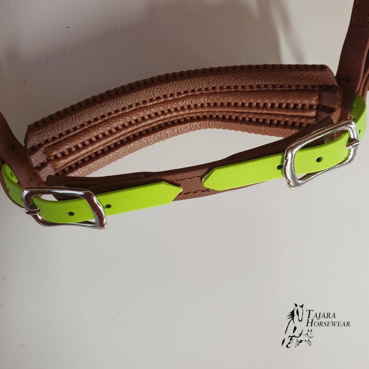Cavesson - Bridle