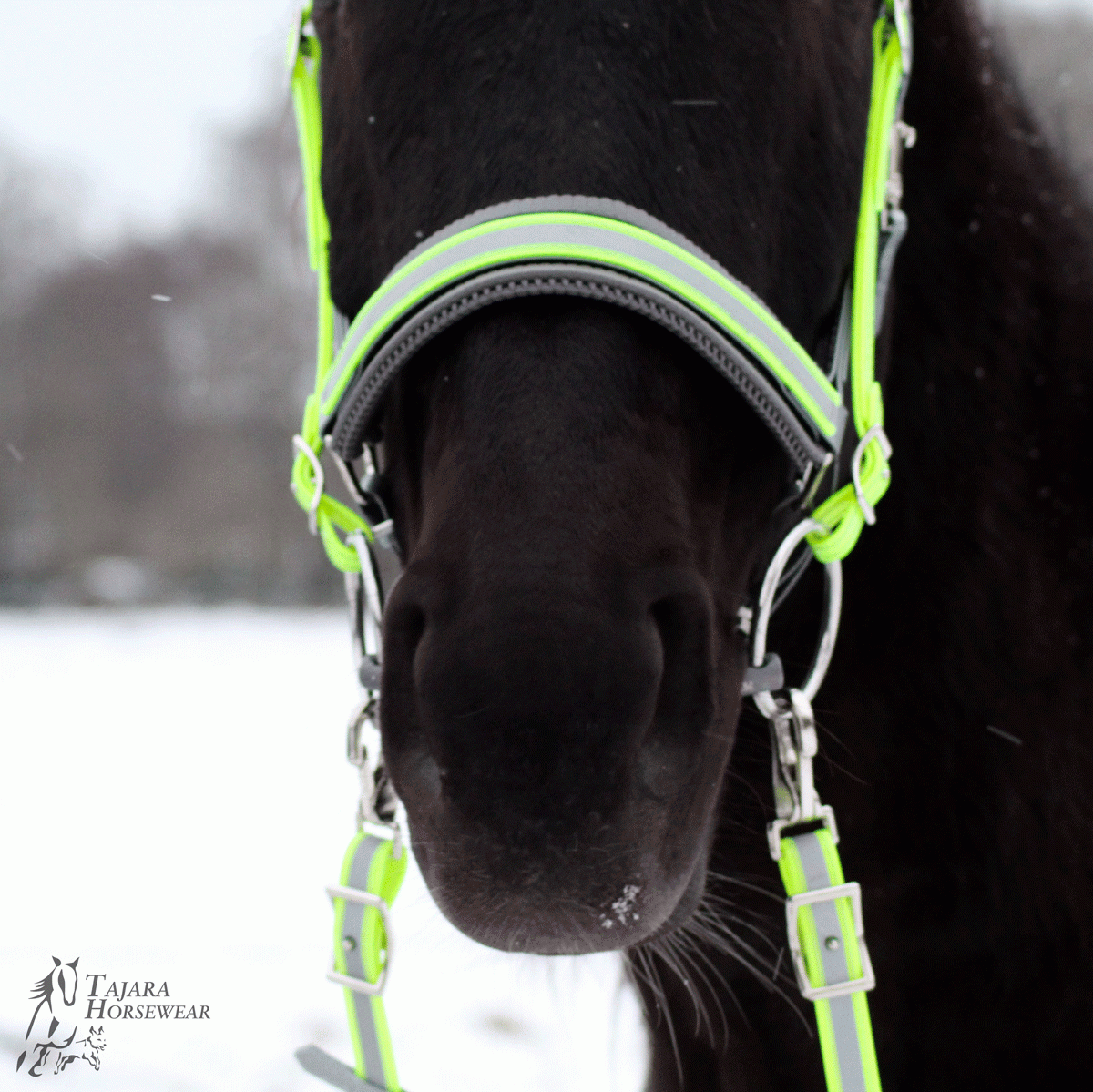 Reflektierendes Quick-Bridle