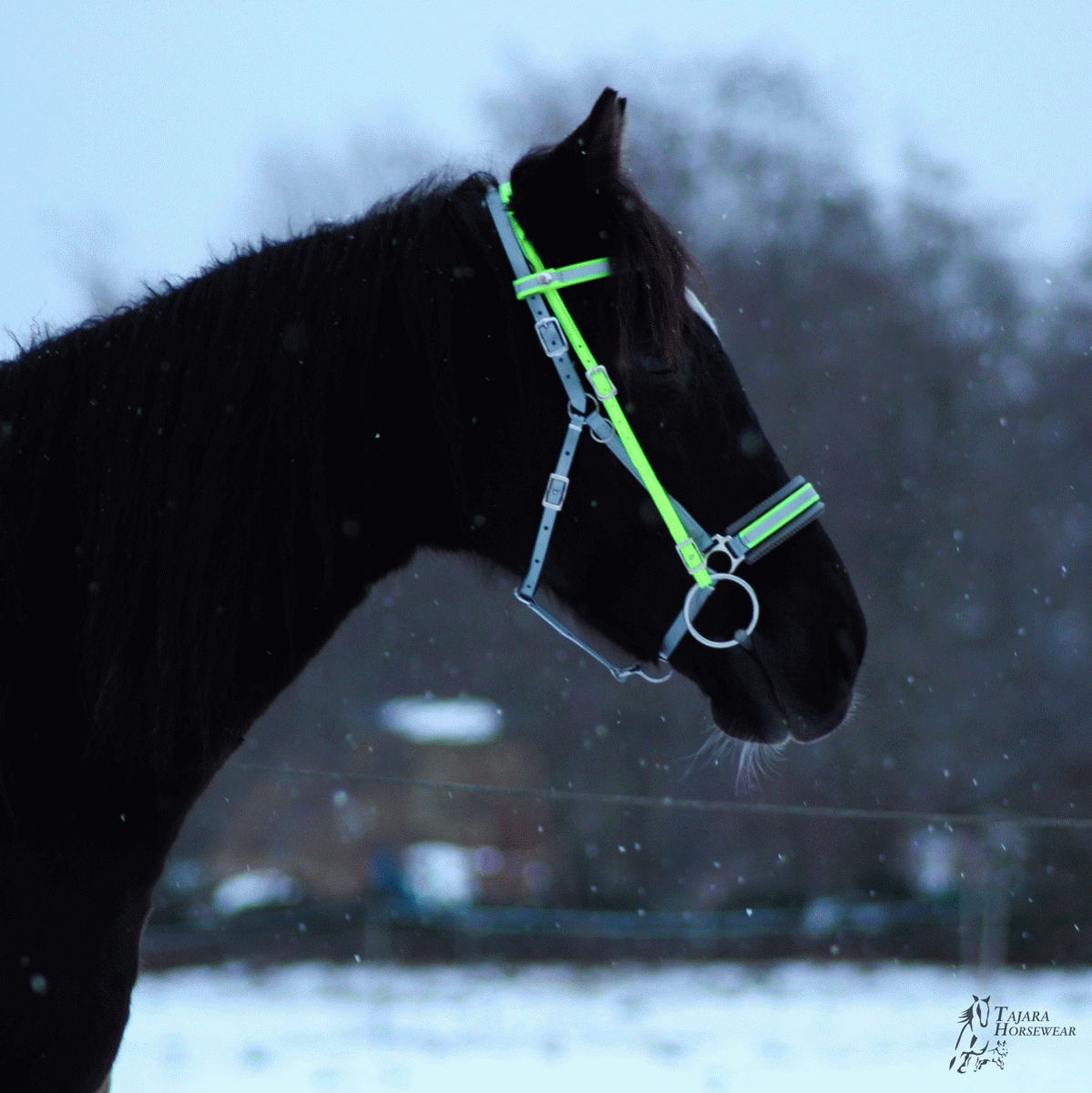 Reflektierendes Quick-Bridle